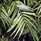 04268ee33b8a825e1054b240779404ec.gif