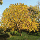 9d2ea5bd80f956de5bed781a74e05380.gif