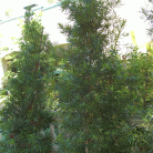 a8a5be585e67a1e033f56d19977d093e.gif