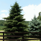 2f565fd68f47ea392e7bcd93211f1371.gif