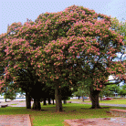 63eabe2eefc7370a64460753b3871f56.gif