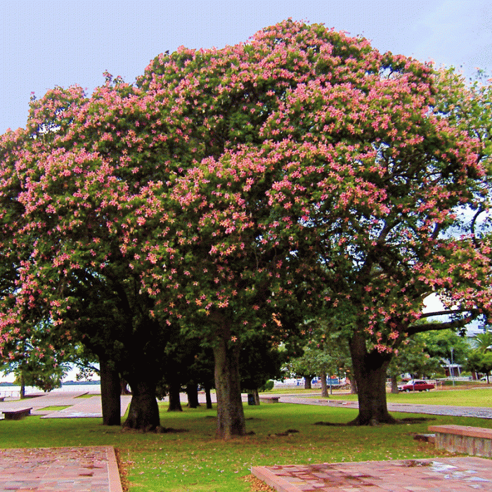 63eabe2eefc7370a64460753b3871f56.gif