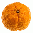 6595c76a6e538fc785eb8a00bc992b2d.gif