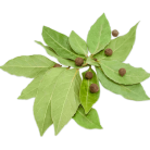 6e5c1ca9c7adfafd8733cb7fdce3ad04.png
