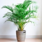 ab92ddea47ca10c7969c340cbd03ecf5.jpg