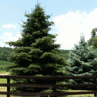 afaf9cd51fa67254f7237c0917076590.gif