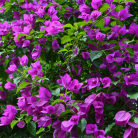 b5dd43affd65d478491d090dcc4ae588.png