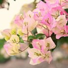 bc48b1c7c14cdae5ff4ac851c4a47bdb.jpg