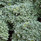 c77029adc3ad7937c17f5d4f02b780dd.gif