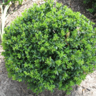 d3885a5fe1b8973adedaa9cb37d8035f.png