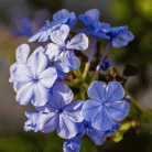 f1d9fd7d74a63d8eb3791337cf7b62a7.gif