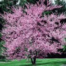 2564789d7a6db6ba374dddf268a2b581.gif