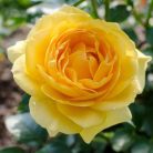 a28eafa6041c39ee0deb54646cb36eb4.jpg